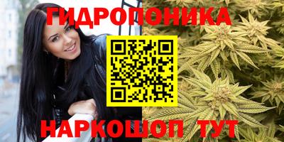 мдпв Партизанск