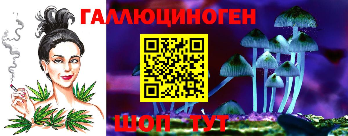 Галлюциногенные грибы Psilocybe  Псилоцибиновые грибы GOLDEN TEACHER  Нижний Новгород  сколько стоит  Вход с VPN 