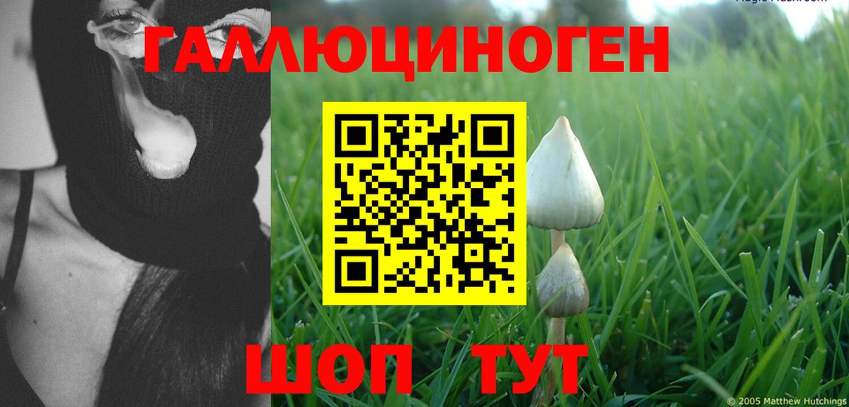 Псилоцибиновые грибы ЛСД Нижний Новгород