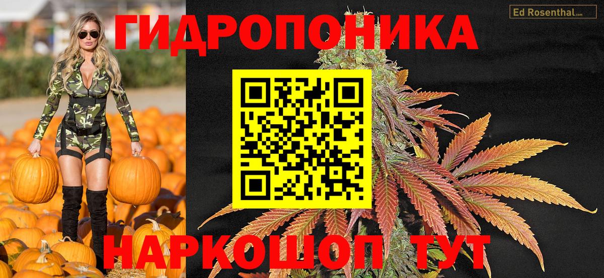МАРИХУАНА SATIVA & INDICA  Вход с VPN  Каннабис Ganja  Нижний Новгород  Каннабис гибрид  Канабис Bruce Banner 